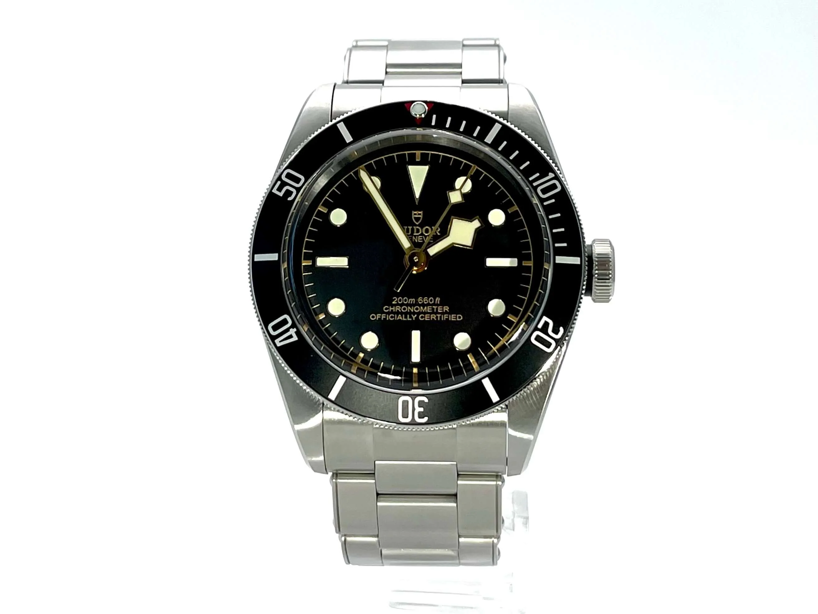 Tudor Black Bay